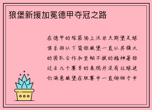 狼堡新援加冕德甲夺冠之路